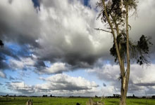 开云体育官网：王大雷：失误就是失误没什么好说的，说实话我也没看到球过来.