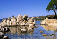 开云体育官网：王大雷：失误就是失误没什么好说的，说实话我也没看到球过来.